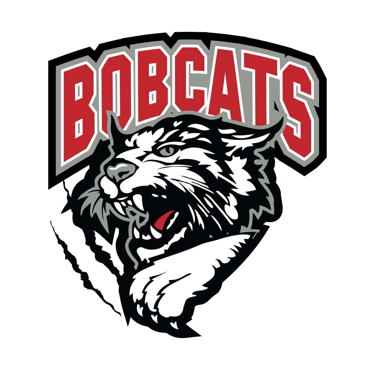 Bobcats Basketball Mackay